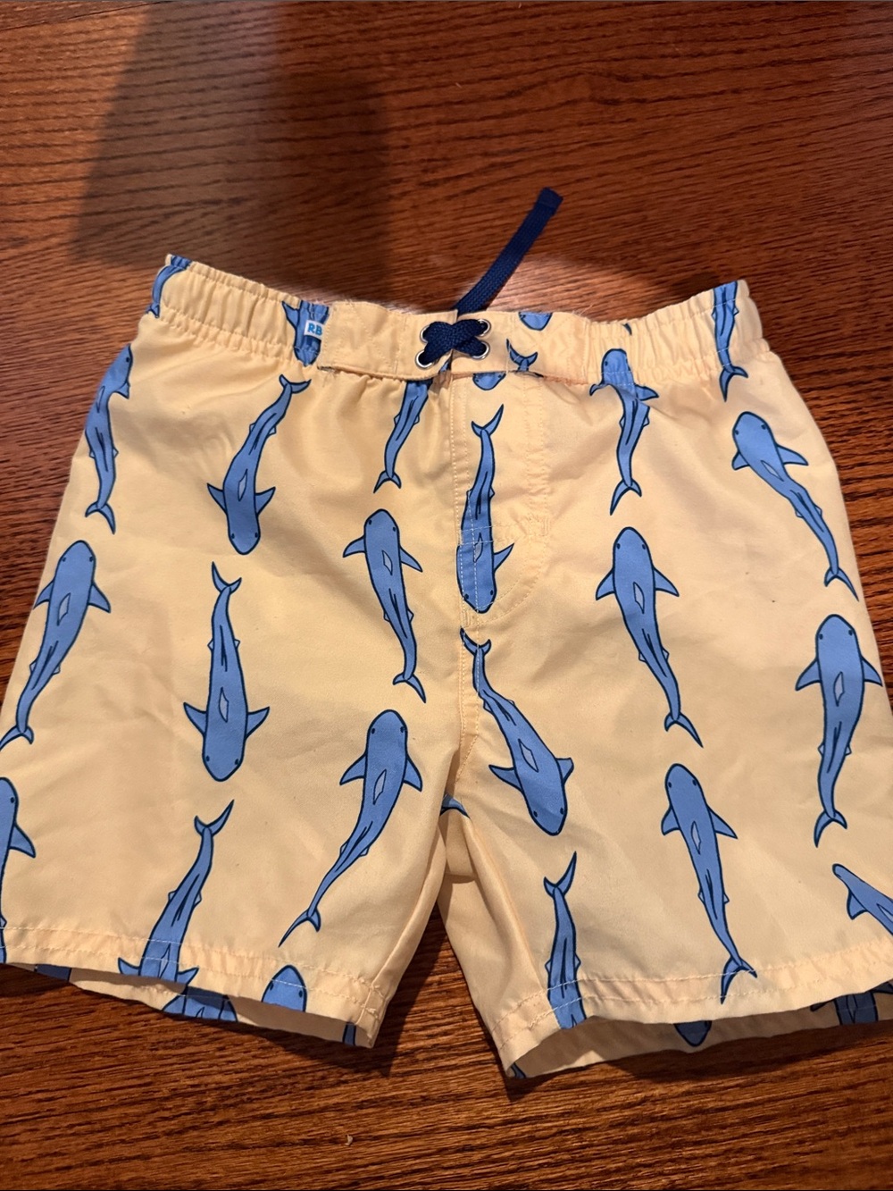 Boys swim trunks